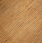 Vegan Cork Leather Patch - Savanna